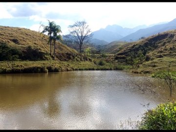 Fazenda - Venda - Passa Vinte - Cruzeiro - SP