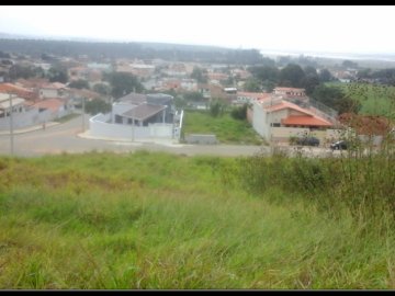 Terreno - Venda - Roseira Velha - Roseira - SP