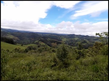 Sítio - Venda - Santa Terezinha - Delfim Moreira - MG