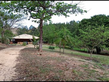 Chácara - Venda - Pedroso - Lorena - SP