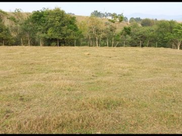 Chácara - Venda - Mantiqueira - Lorena - SP