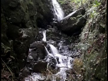 Sítio - Venda - Boa Vista - Piranguçú - MG