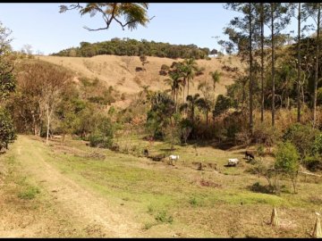 Sítio - Venda - Santa Cruz - Cunha - SP