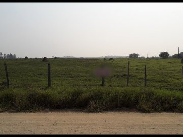 Área - Venda - Jardim Potim - Potim - SP