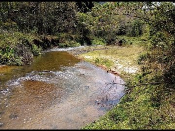 Fazenda - Venda - Bairro Bom Jesus - Silveiras - SP