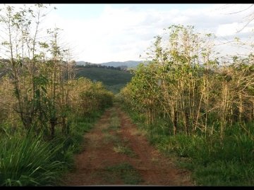 Fazenda - Venda - Ondas da Mantiqueira - Carmo de Minas - MG