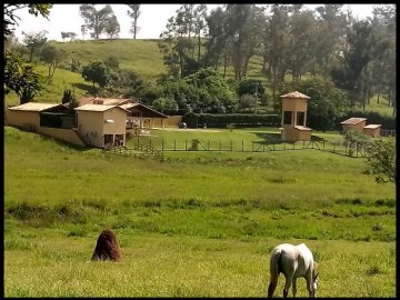 Fazenda - Venda - Porto do Meira - Guaratinguetá - SP