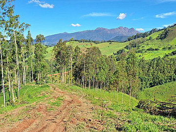 LOCAL ALTO, VISTA PANOR�MICA, CLIMA DE MONTANHA, COM CASA