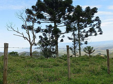 QUASE METADE PLANA, SEM BENFEITORIAS, NASCENTE, C�RREGO