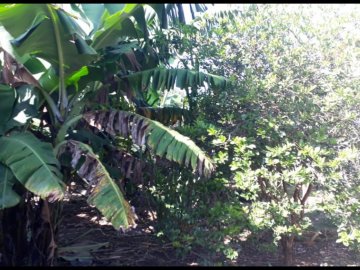 Terreno - Venda - Cruz - Lorena - SP