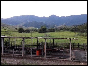 Sítio - Venda - Itabaquara - Piquete - SP