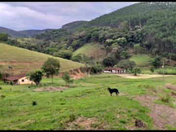 Fazenda - Venda - Bairro do Palmital - Caçapava - SP