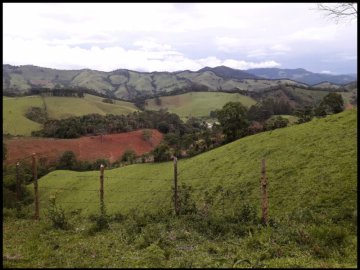 Sítio - Venda - Brumado - Delfim Moreira - MG