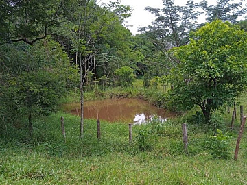 LOCAL TRANQUILO, BOA TOPOGRAFIA, RICO EM �GUA