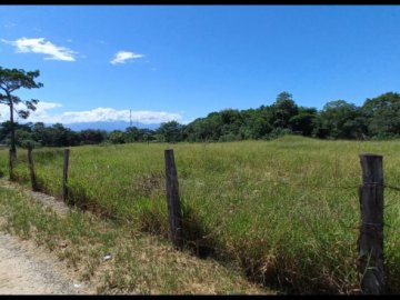 Área - Venda - Quatinga - Lorena - SP
