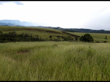 Chácara - Venda - Mantiqueira - Lorena - SP