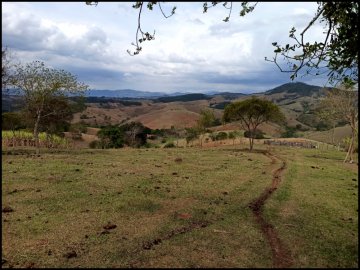 Sítio - Venda - Serraria - Cunha - SP