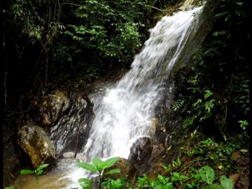 Sítio - Venda - Boa Vista - Piquete - SP