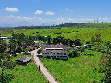 PARA CORTE/LEITE, 32Ha DE TIFTON IRRIGADO, BOA TOPOGRAFIA