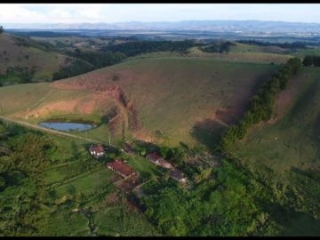 Fazenda - Venda - Bairro da Buraqueira - Pindamonhangaba - SP