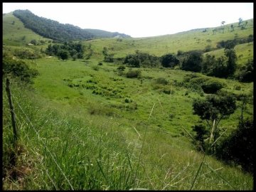 Fazenda - Venda - Rio das Pedras - Guaratinguetá - SP