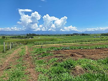 PR�PRIA PARA CH�CARA, PEQUENO S�TIO DE LAZER OU CULTIVO