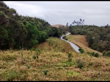 Sítio - Venda - Lajeado - Silveiras - SP