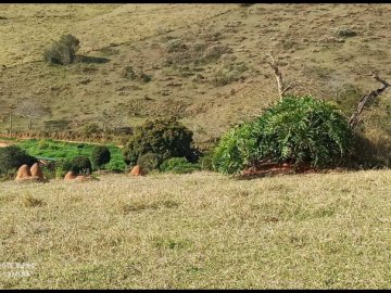 Chácara - Venda - Quatinga - Lorena - SP