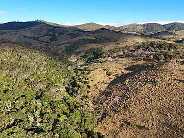 SEM BENFEITORIAS, TOPOGRAFIA M�DIA | BOA LOCALIZA��O