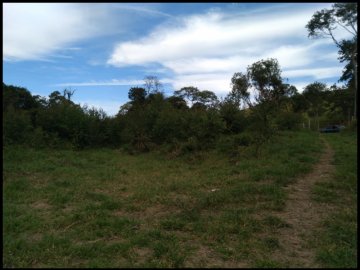 Chácara - Venda - Rocinha - Lorena - SP