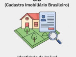 O QUE � CIB?